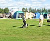 IMG_5063.JPG