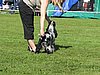 IMG_5074.JPG