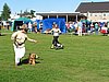 IMG_5078.JPG