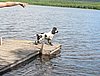 IMG_5100.JPG