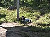 IMG_5145.JPG