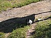 IMG_5155.JPG