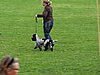 IMG_5278.JPG