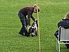 IMG_5291.JPG