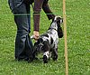 IMG_5295.JPG