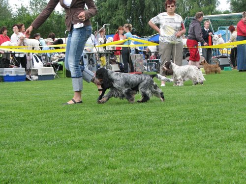 IMG_8794.JPG