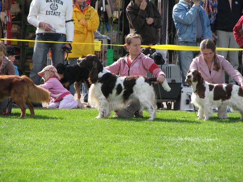 IMG_8873.JPG