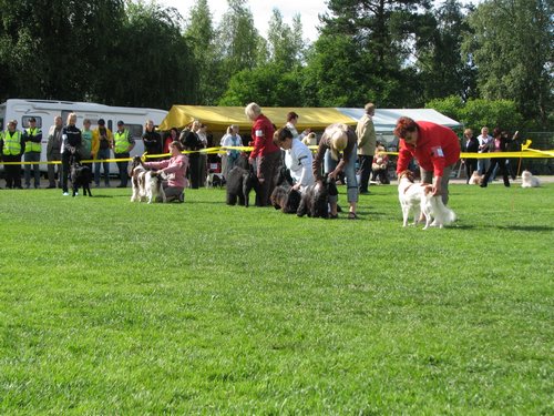 IMG_8875.JPG