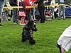 IMG_8808.JPG