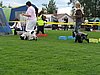 IMG_8809.JPG