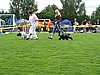 IMG_8811.JPG
