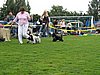 IMG_8812.JPG