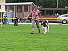 IMG_8854.JPG
