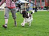 IMG_8855.JPG