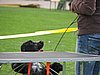 IMG_8859.JPG