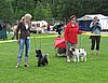 IMG_8862.JPG