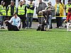 IMG_8868.JPG