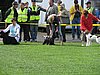 IMG_8869.JPG