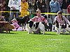 IMG_8873.JPG