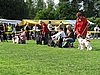IMG_8877.JPG
