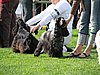 IMG_8880.JPG