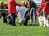 IMG_8883.JPG