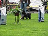 IMG_8901.JPG
