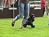IMG_8904.JPG