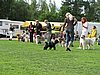 IMG_8905.JPG