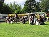 IMG_8906.JPG
