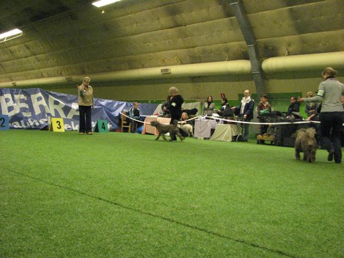 IMG_9873.JPG