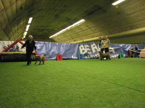IMG_9874.JPG