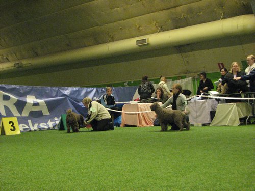 IMG_9880.JPG