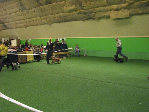 IMG_9969.JPG
