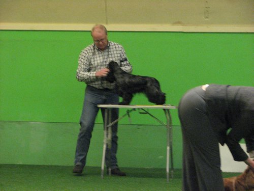 IMG_9976.JPG