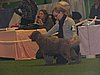 IMG_9881.JPG