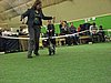 IMG_9902.JPG