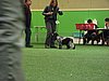 IMG_9904.JPG