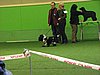 IMG_9909.JPG