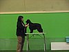 IMG_9912.JPG