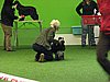 IMG_9913.JPG
