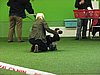 IMG_9914.JPG