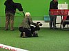 IMG_9915.JPG