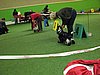 IMG_9921.JPG