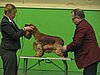 IMG_9923.JPG
