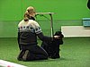 IMG_9926.JPG