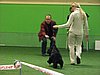 IMG_9942.JPG