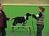 IMG_9949.JPG