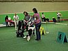IMG_9960.JPG