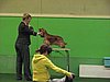 IMG_9974.JPG